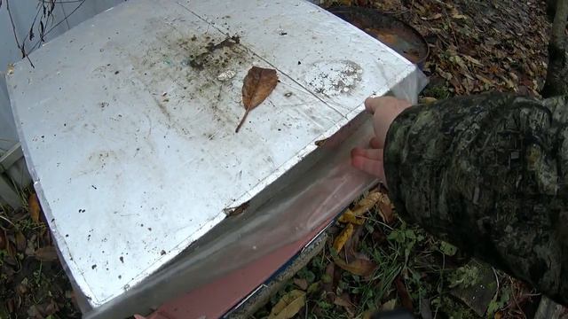 Влияние селекции на размер пчелиной семьи и заклещёванность смотреть онлайн