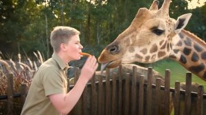 Robert Irwin's virtual Australia Zoo tour!