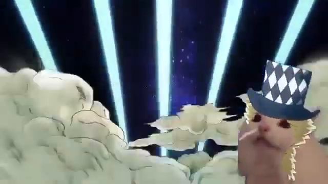 MEOWWWW! Yelling Cat Memes I Found Compilation