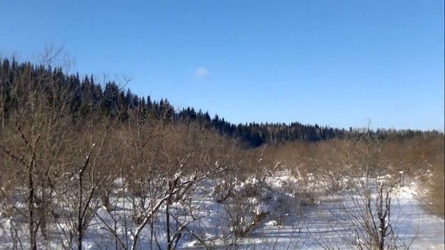 VK540 - Приехали в Нижний Тереш