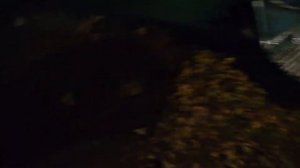 Лада Калина замена сальника правого привода