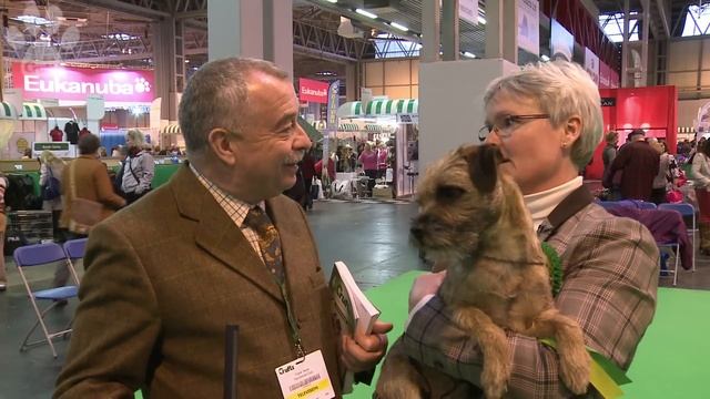 Border Terrier - Best of Breed - Crufts 2013 смотреть онлайн