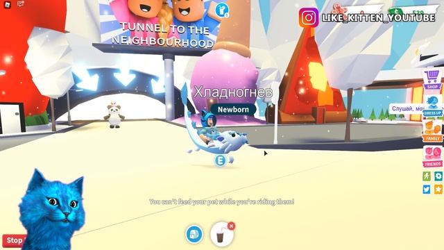 Получил ЛЕДЯНОГО ФРОСТ ДРАКОНА в АДОПТ МИ ОБНОВЛЕНИЕ РОБЛОКС FROST FURY Roblox Adopt Me КОТЁНОК ЛАЙ смотреть онлайн