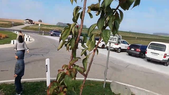 airplane landing in Zurich Airport, Swiss Airlbus| Flughafen Zurich in die Schweiz Landung Flug смотреть онлайн