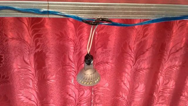 ПОДСВЕТКА РАССАДЫ СВОИМИ РУКАМИ! ЭКОНОМИМ ДЕНЬГИ! смотреть онлайн