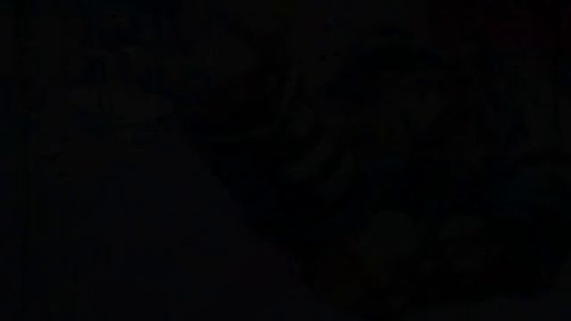 JJBA   SBR  ?   TUSK   ACT 4 VS D4C   LOVE TRAIN   ?  AMV EDIT