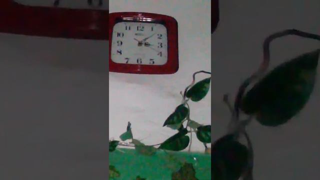Разговор в подъезде смотреть онлайн