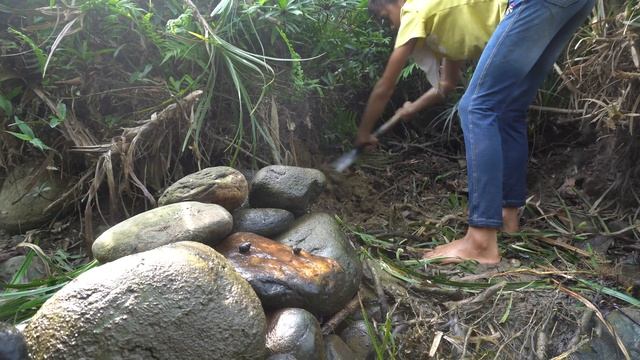 Orphan Girl Goes To The Forest Harvest Fish and Snails To Sell - Homeless Life, Free Bushcraft смотреть онлайн