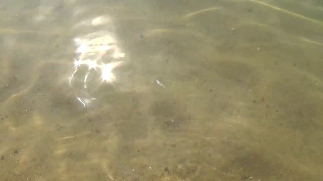 Поездка в Гонконг: На автобусе на пляж смотреть онлайн