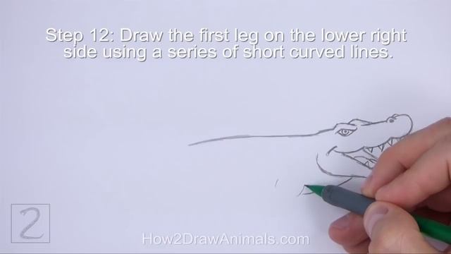 How to Draw a Crocodile / Alligator (Cartoon) смотреть онлайн