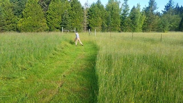 Eight minutes of great scything! смотреть онлайн