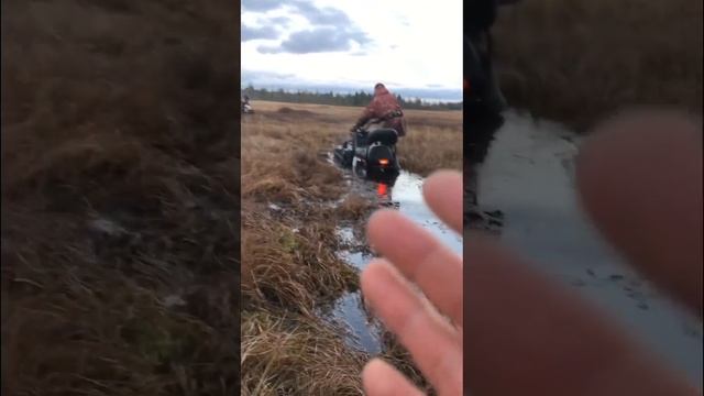 Топкое болото смотреть онлайн