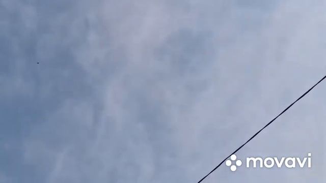Голуби Элиста , апрель 2021 , племенной сезон ч.3 смотреть онлайн