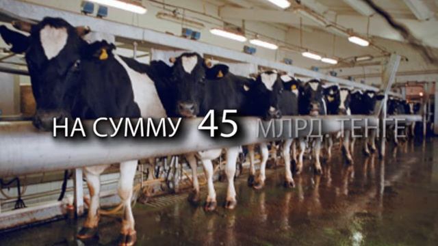 Ролик ко дню сельского хозяйства смотреть онлайн