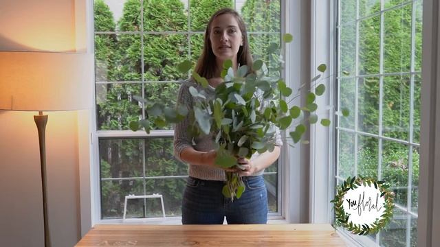 Greenery 101: Silver Dollar Eucalyptus смотреть онлайн