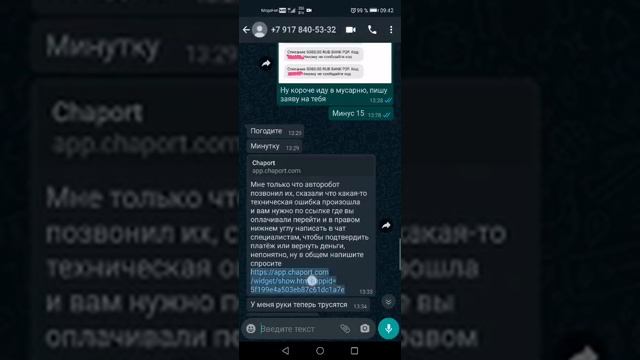Фишинг банковской карты под Авито смотреть онлайн