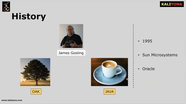 What is Java ? | Core Java Tutorial | Introduction | Brief History | Kaliyona | In Kannada смотреть онлайн