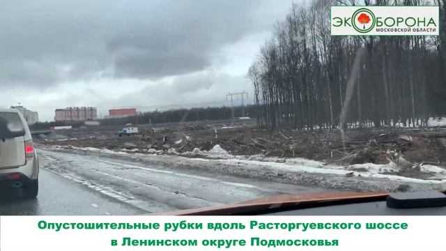 Пустыня вместо леса - Ленинский округ, Расторгуевское шоссе смотреть онлайн