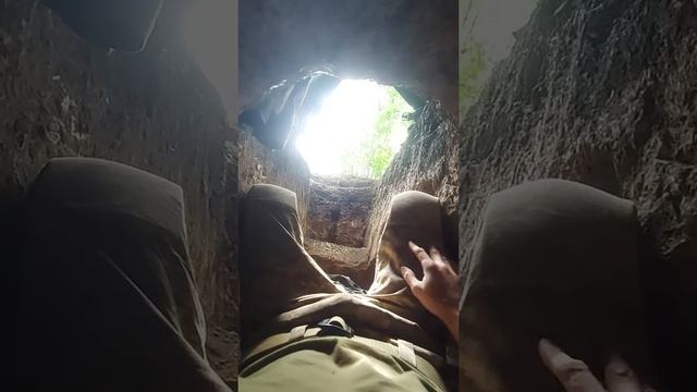 Підземне життя на передку смотреть онлайн