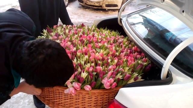 1001 тюльпан в корзине. Если вы хотите купить такие же цветы тогда ссылка в описание.С вами Флорист смотреть онлайн