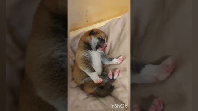 Кто ПЕРВЫЙ?! Я Первый!!!✌😛 смотреть онлайн