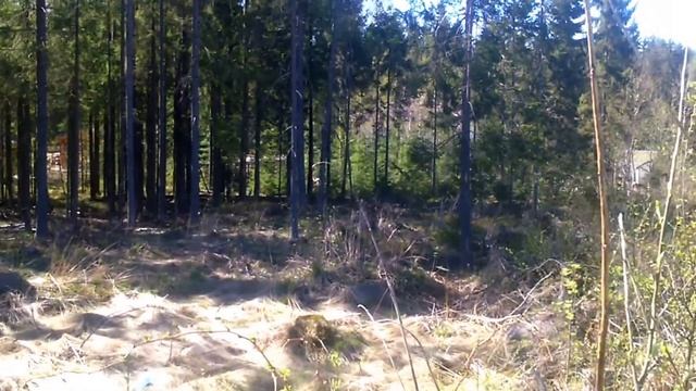 #Всеволожский район Сертолово-2 #ДНП Омега #Купить участок #куплюучасток смотреть онлайн