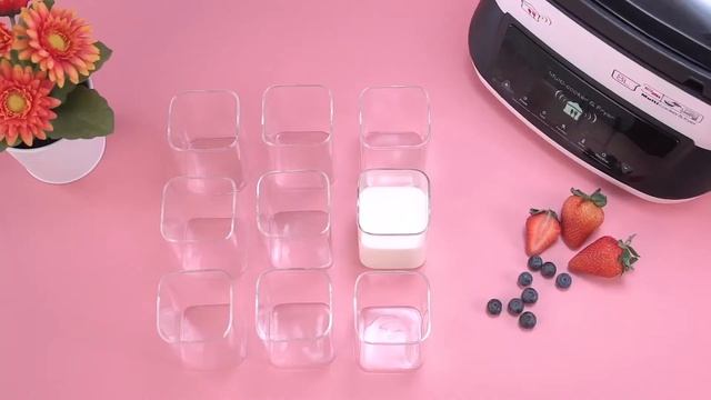 Delan-ME-multi cooker-Yoghurt смотреть онлайн