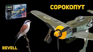 Самолёт и птица... КАК ЭТО СВЯЗАНО_ Обзор сборной модели FW-190 F-8 от Revell в 1_72.mp4
