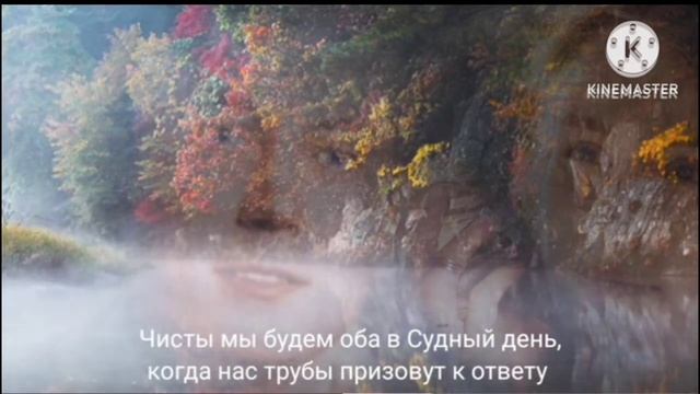Евгений Евтушенко -" НЕ ИСЧЕЗАЙ", стихотворение, читаю я ,ваша Светлана ?❤️ смотреть онлайн