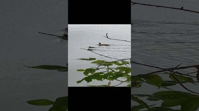 Красивое местечко в Жигулевске