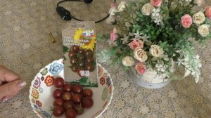 Обзор томатов 2017.  Часть 1. Сладкая гроздь шоколадная