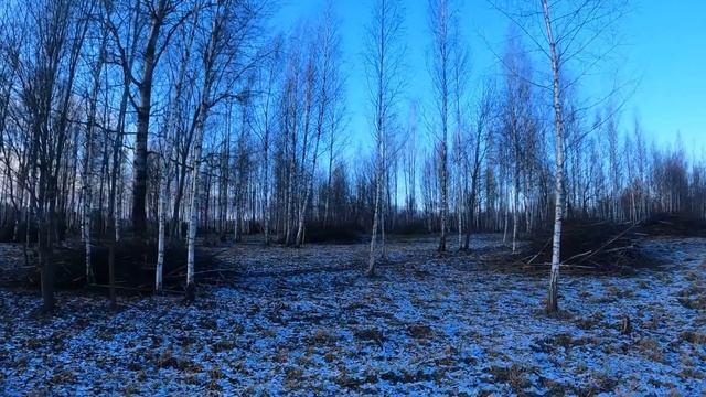 ЧТО-ТО ВАЖНОЕ И НЕ ТОЛЬКО. смотреть онлайн