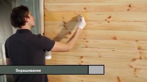 Как покрасить деревянный дом материалами Pinotex