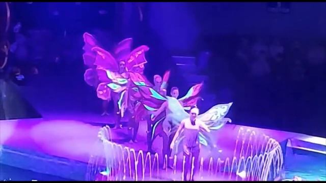 "Остров сокровищ" цирковое представление на воде смотреть онлайн