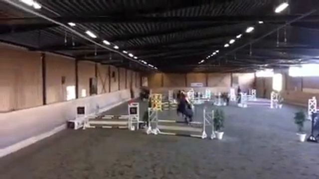 Felinia Hässleholm смотреть онлайн