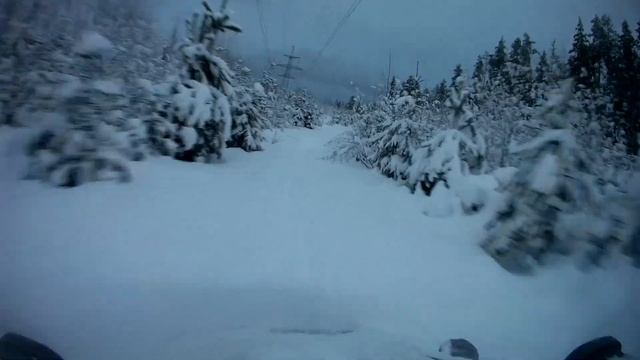 Окуловка . Зимний лес.2 смотреть онлайн