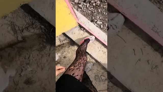 Почему у меня все колготки в сетку смотреть онлайн