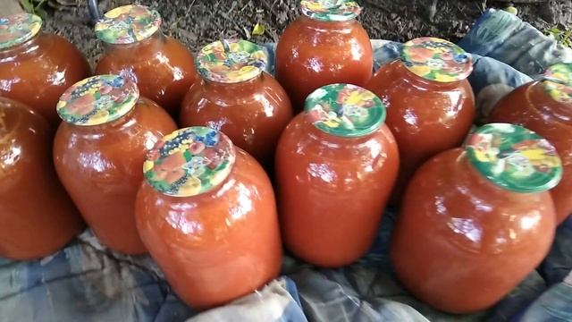 Обзор нашего двора - наш виноград,розы,сад,огород смотреть онлайн