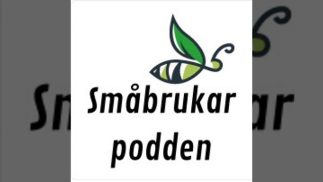 Vi vaknar upp med sommartid och -25 grader смотреть онлайн
