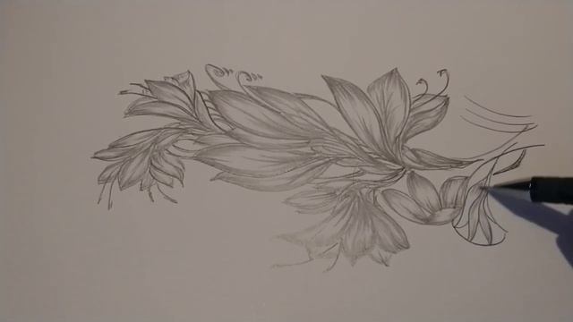 Pencil line & Music /David Garrett Palladio. смотреть онлайн