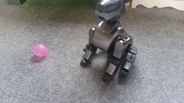 Sony aibo ers-210, start up and playing with aibo life software inserted. #aibo смотреть онлайн
