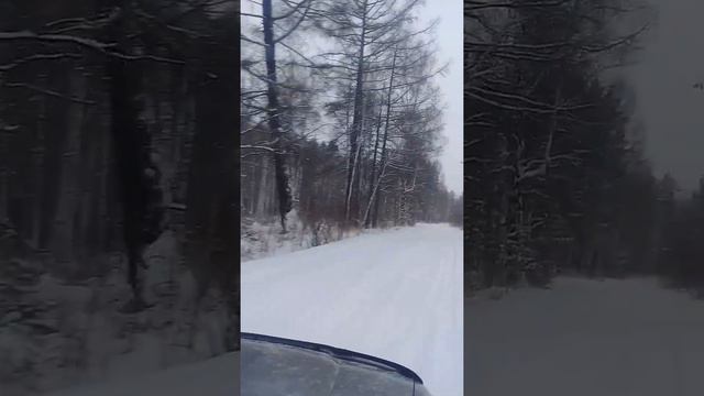 Зелёный Мыс ЕДИМ НА РАБОТУ 2.12.2019 смотреть онлайн