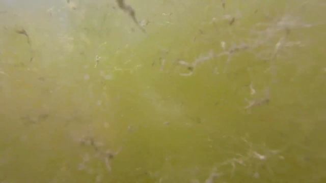 СЪЕМКА GOPRO ПОД ВОДОЙ | ЭКШН КАМЕРА В МОРЕ  ☼