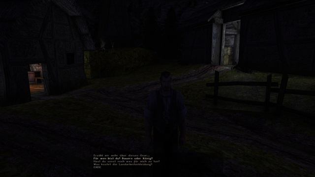 GOTHIC II! #2 - Gauner,Wachen und Lester! смотреть онлайн