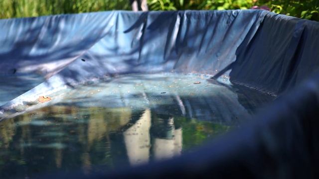 Легкий кинотест Sony a7sII + SIRUI 50/1.8 Anamorphic 1.33 смотреть онлайн