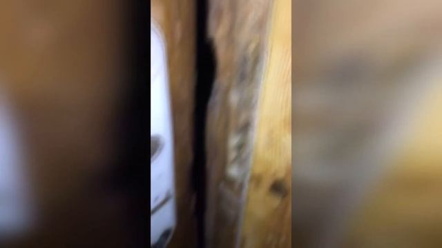 база отдыха ТРИ ОЗЕРА 092021 Омская область смотреть онлайн