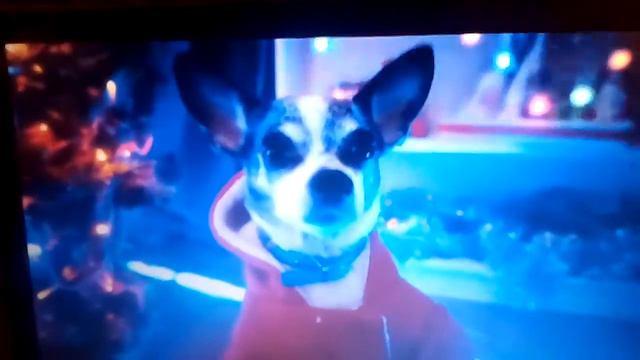 Сори за звук!!!! реакция на волшебных питомцев Ани Меджик. смотреть онлайн