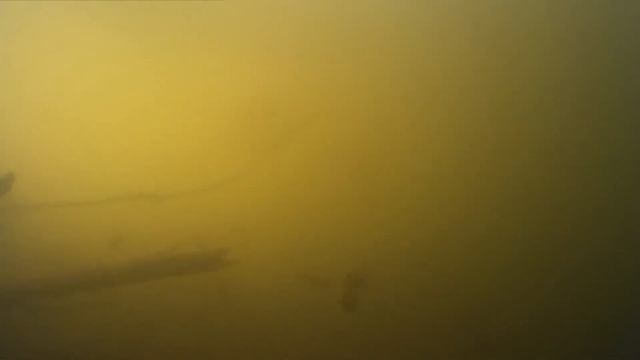 Подводная жизнь на р. Шегарка -28.02.16 г.