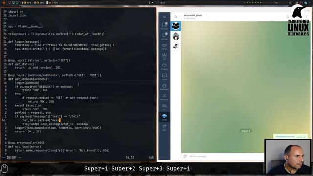 Tutorial de bots para Telegram con Python. Capítulo 8. Comandos para tu bot смотреть онлайн