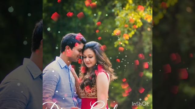 Песня День Рождение. Стихи А.Басов музыка О.Благов исполняет Д.Соколов смотреть онлайн